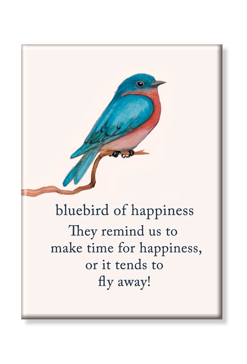 bluebird magnet.