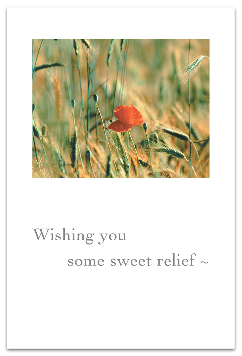 Orange Poppy in Wheat Field Feel Better Card