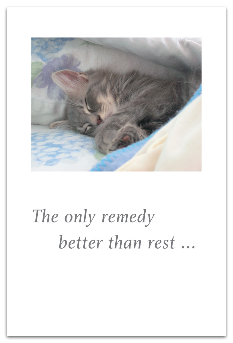 Sleeping cat feel better card.