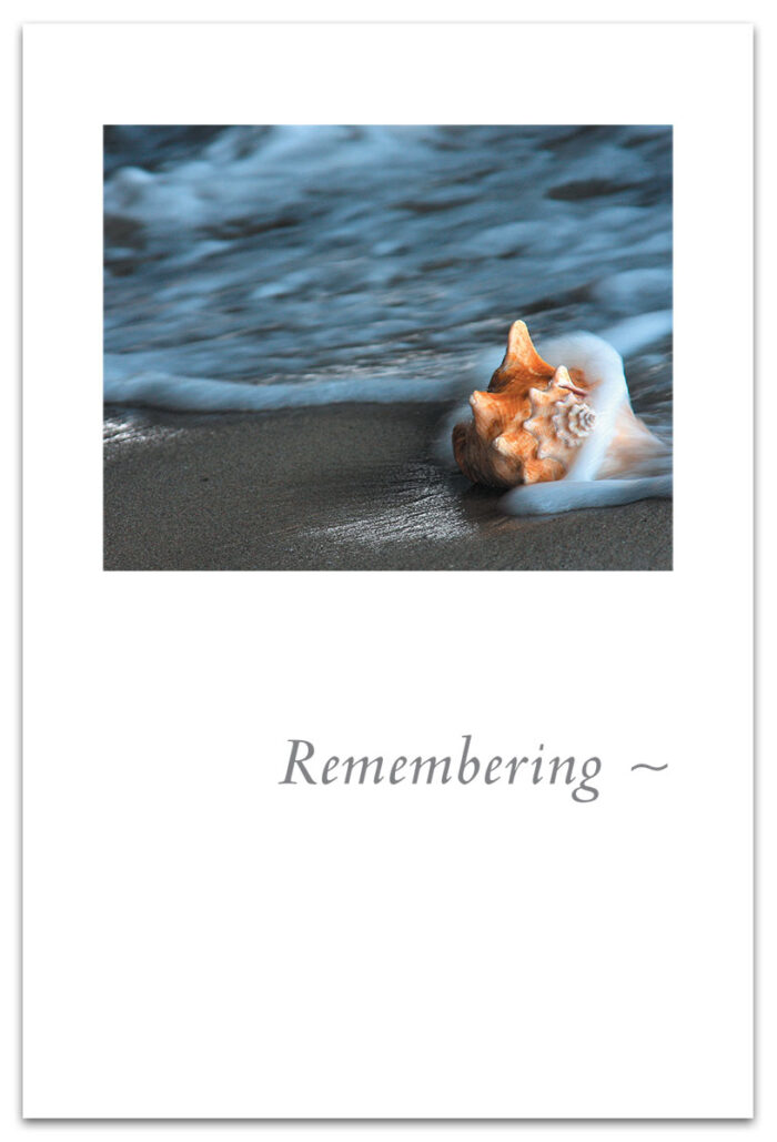 Seashell on shore condolence card.