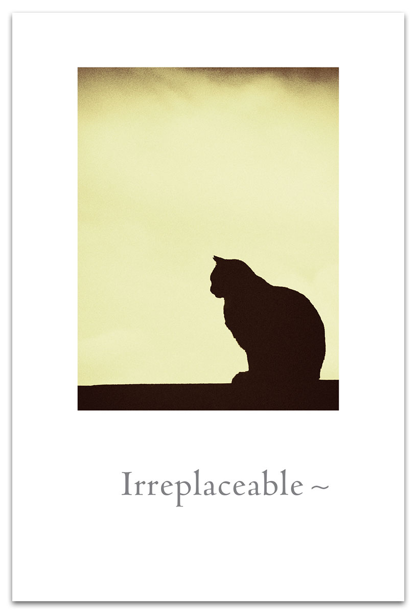 Cat silhouette pet condolence card.