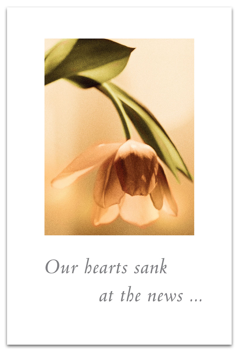 Pink Tulip condolence card.