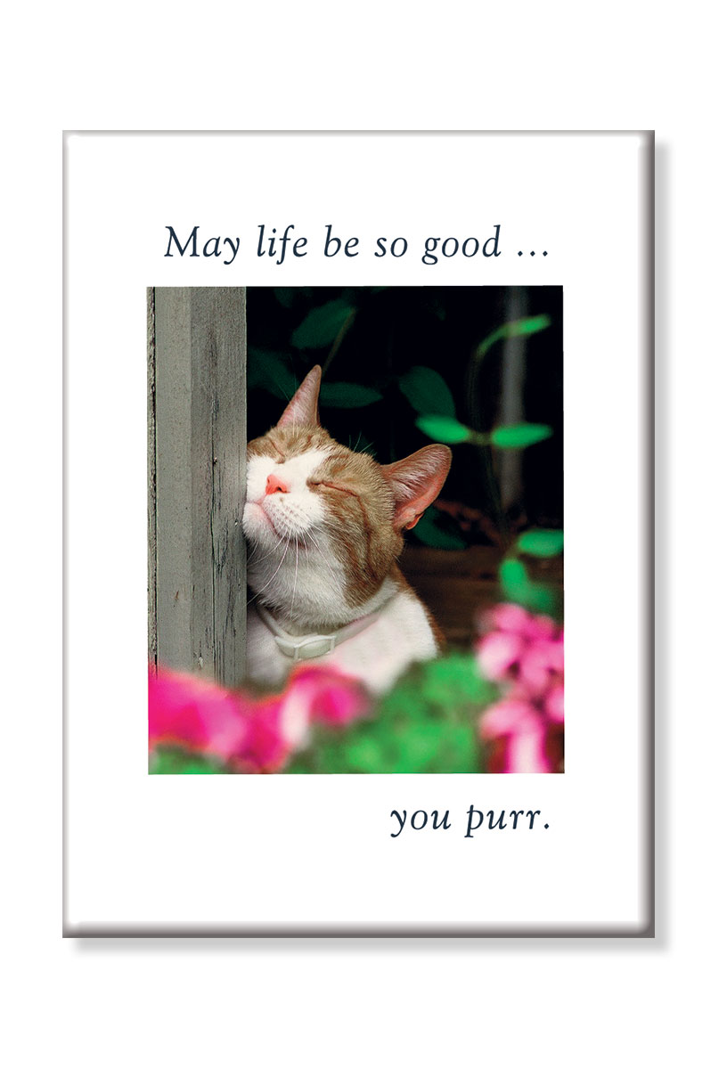 May your life be so good you purr magnet.