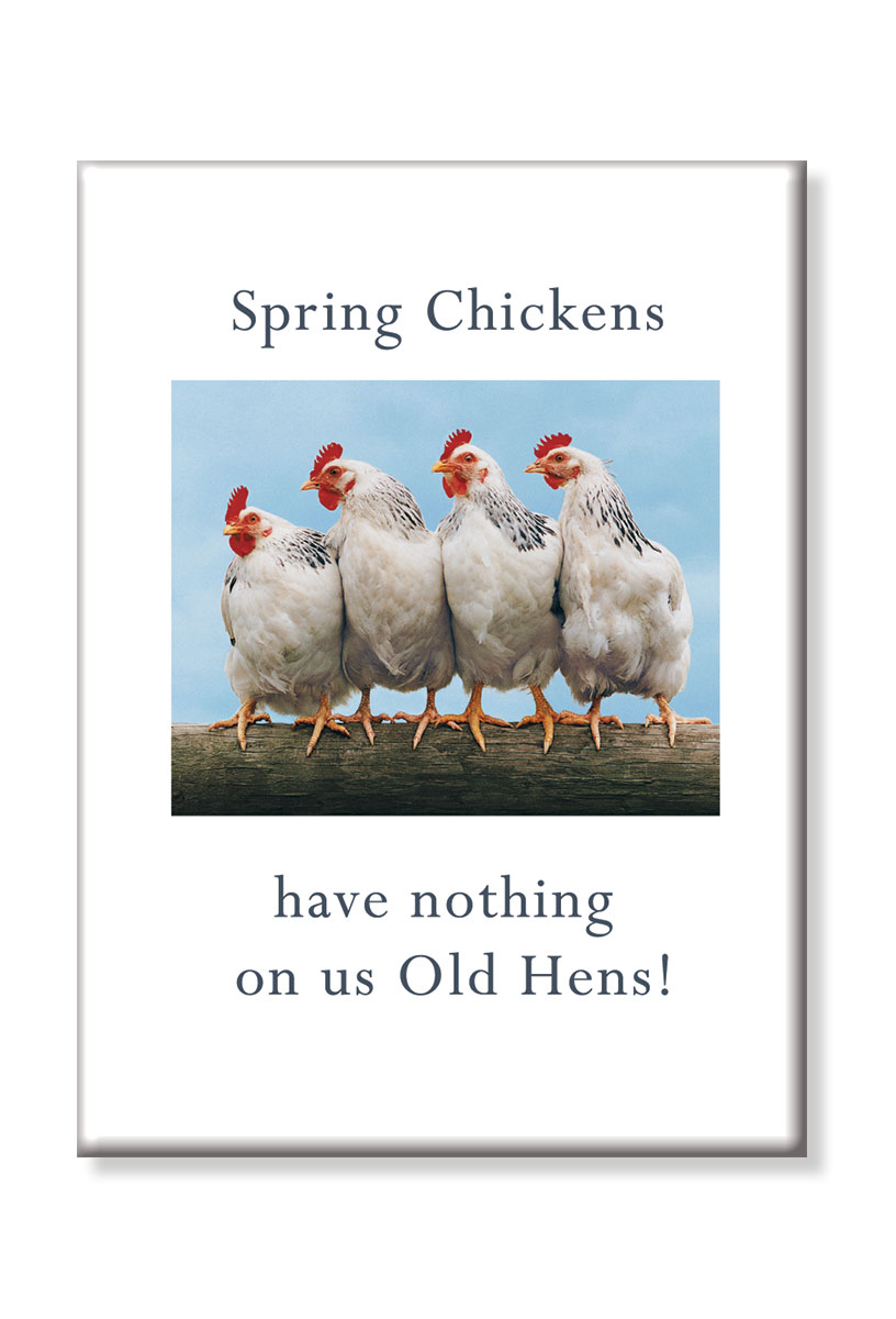 Spring chickens have nothing on us old hens magnet.