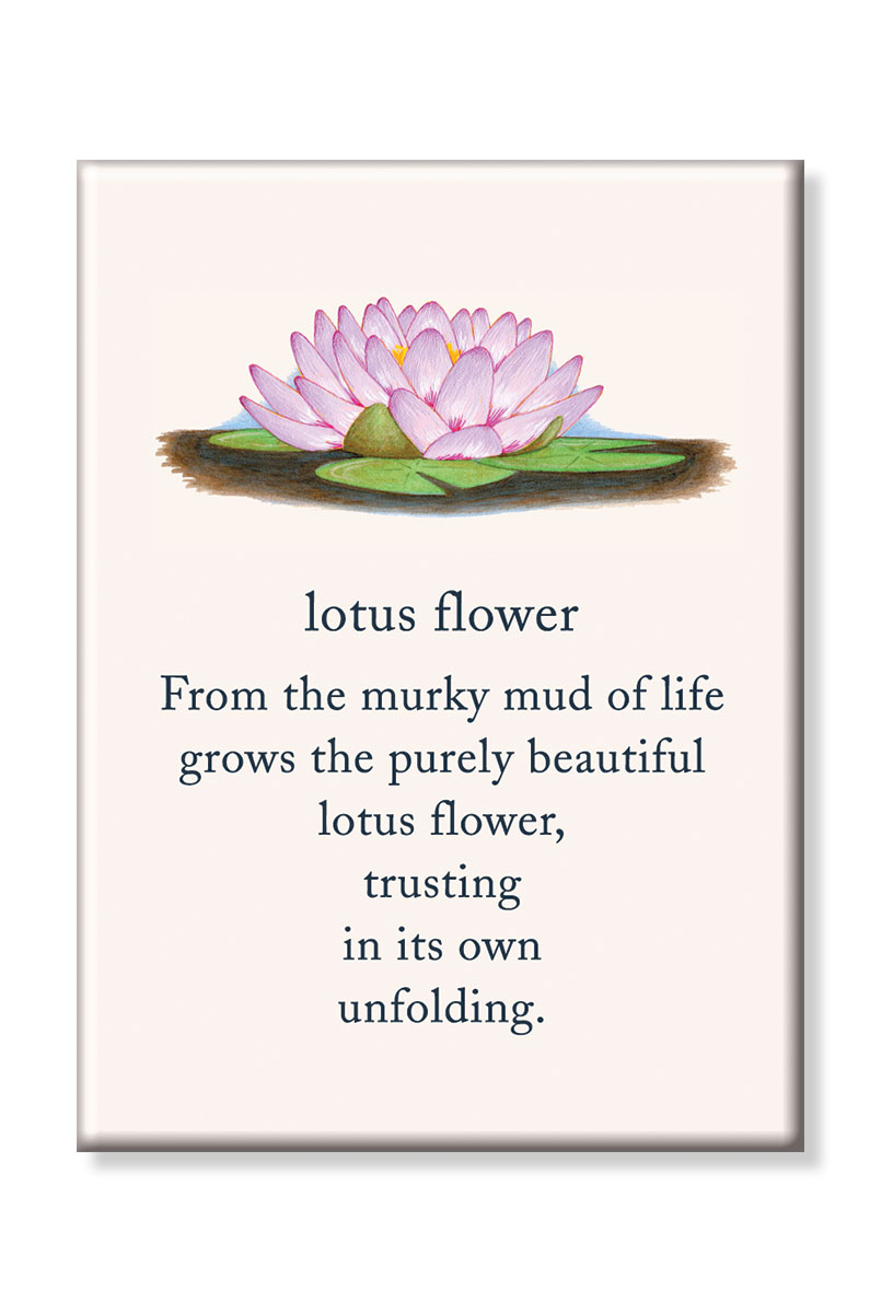 Lotus flower meanings of life magnet.
