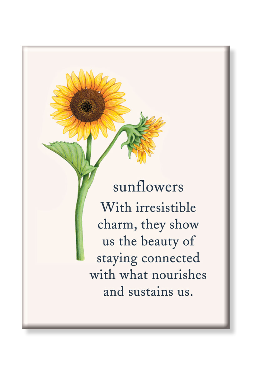 Sunflowers meanings of life magnet