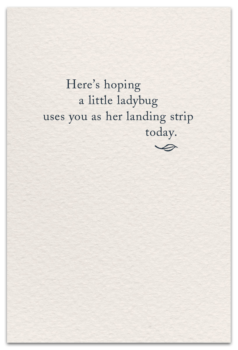 Ladybug Friendship Card Inside Message