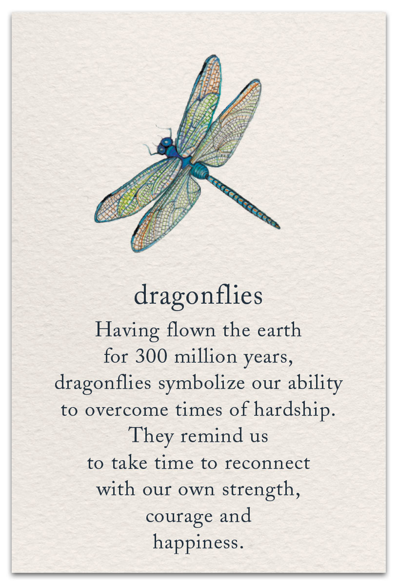 Dragonflies Support & Encouragement Card Front