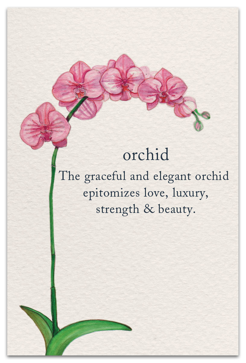 orchid birthday card front