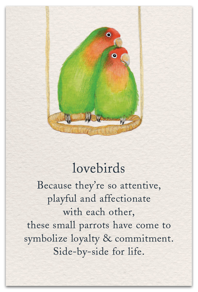 Lovebirds Greeting Card With Cream Envelope Design The DM Collection Size 7 x 5 