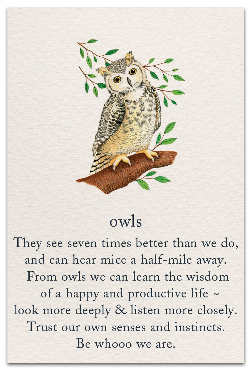 owls birthday card front