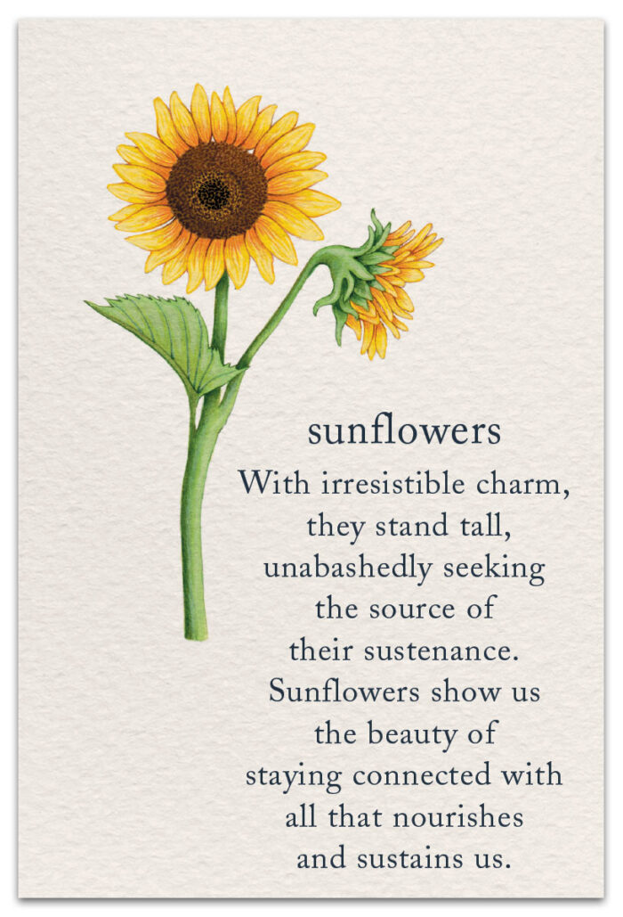 sunflowers birthday card front