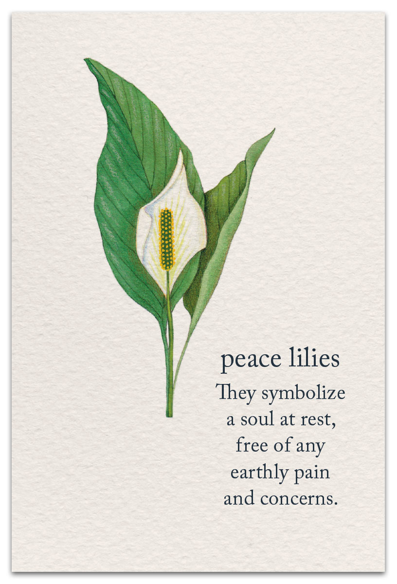 peace lilies condolence card front