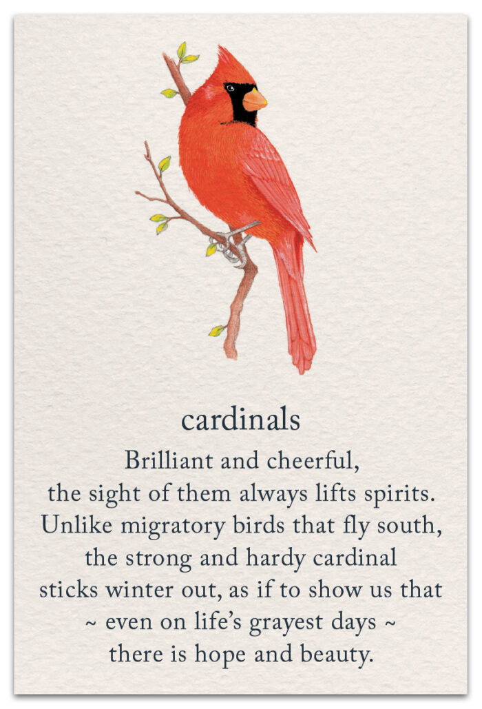 cardinal friendship card front