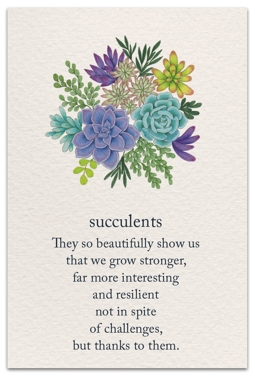 succulents support encouragement card front