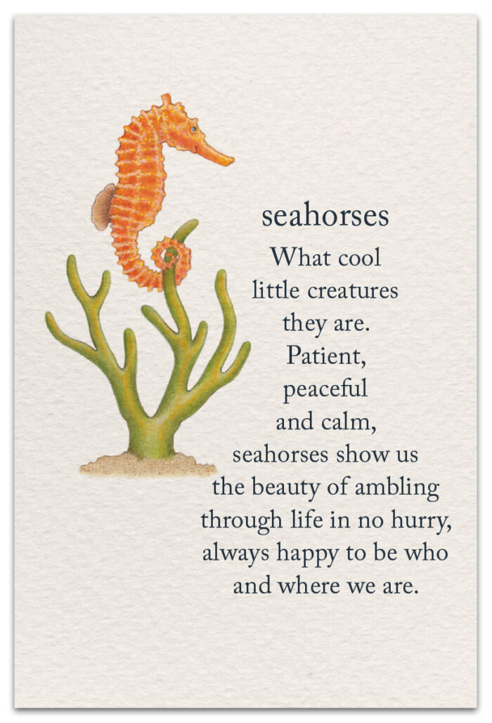 seahorses birthday card front