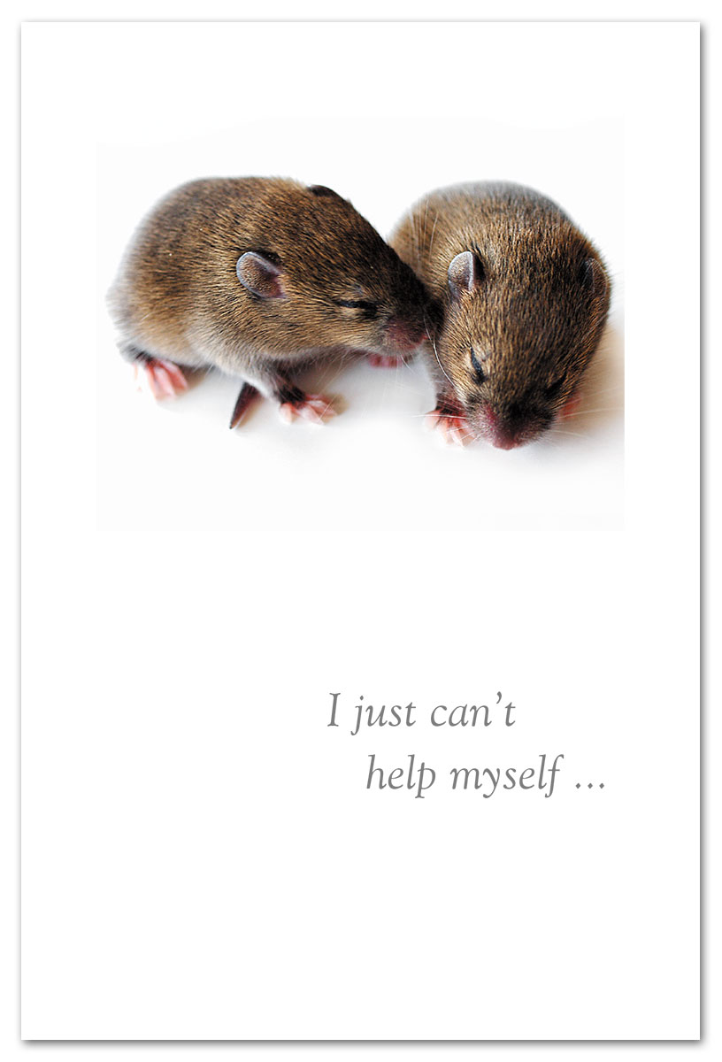 Mice love card.