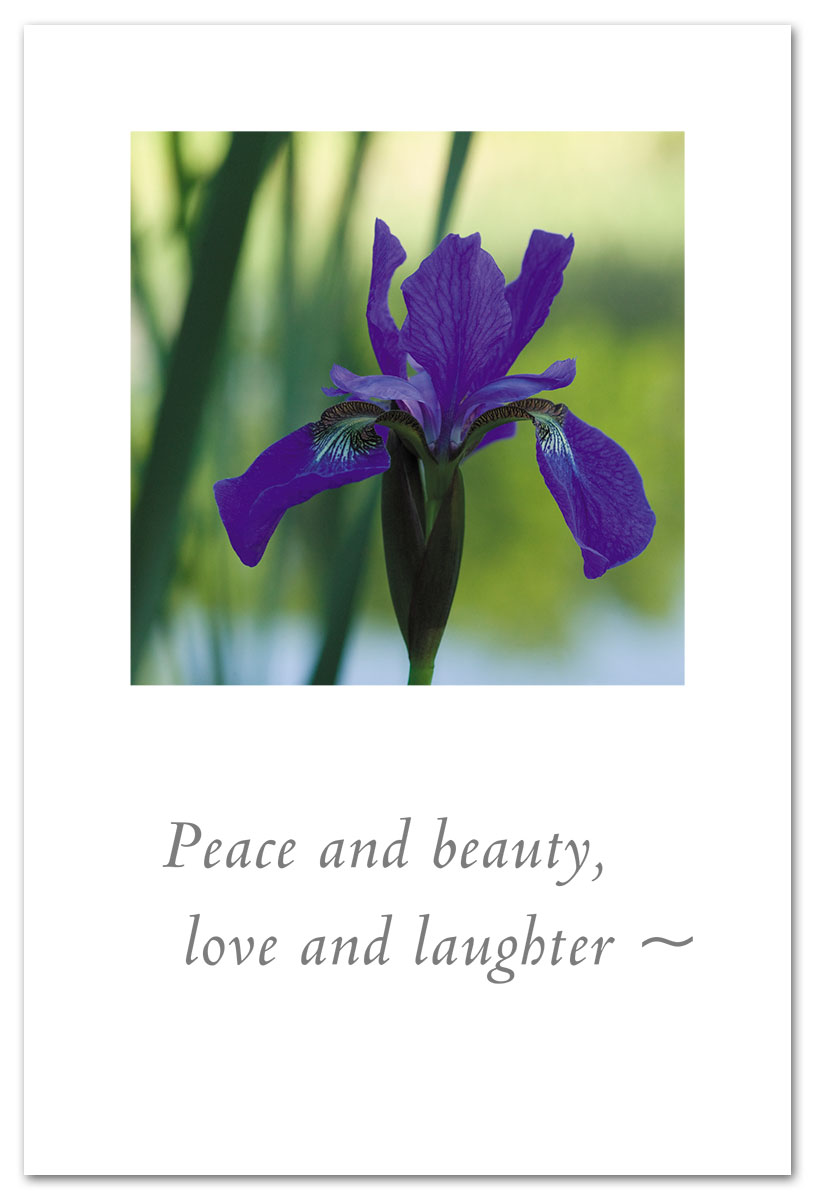 Purple Iris birthday card.