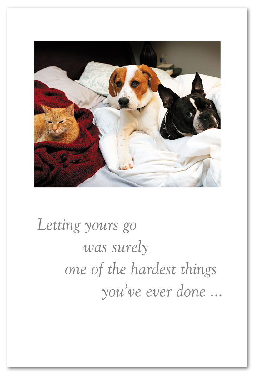 Pets on bed pet condolence card.