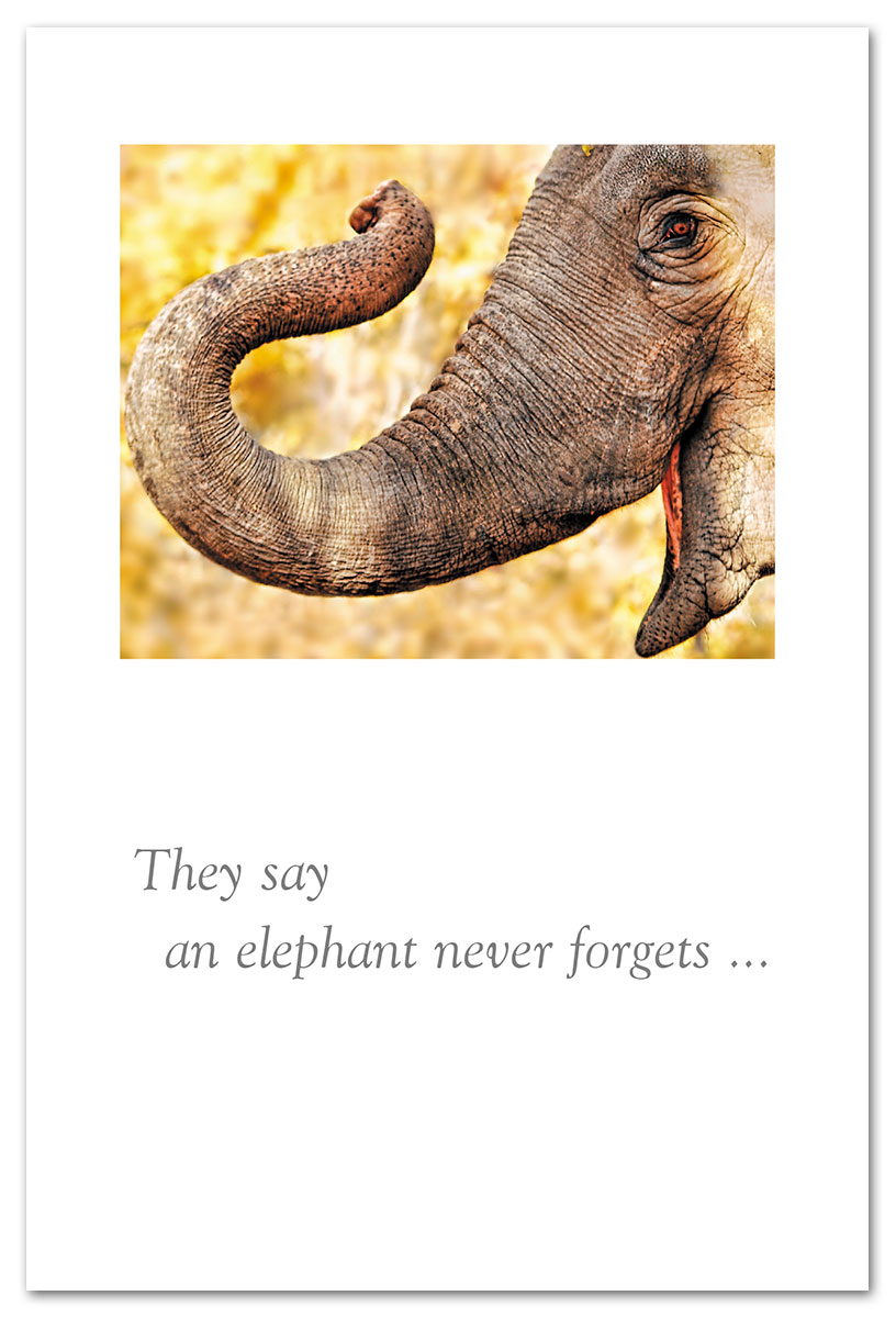 Laughing elephant thank you card.