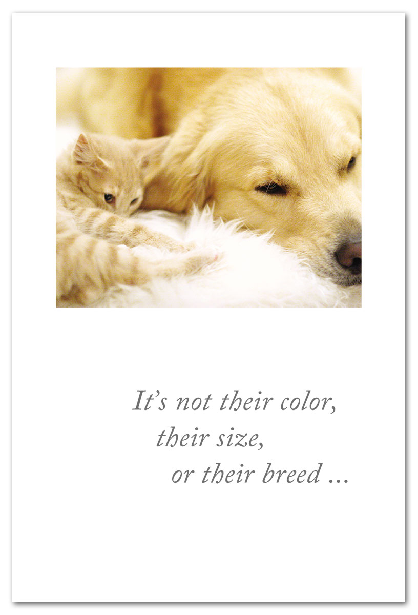 Curled White Cat & Dog Pet Condolence Card.