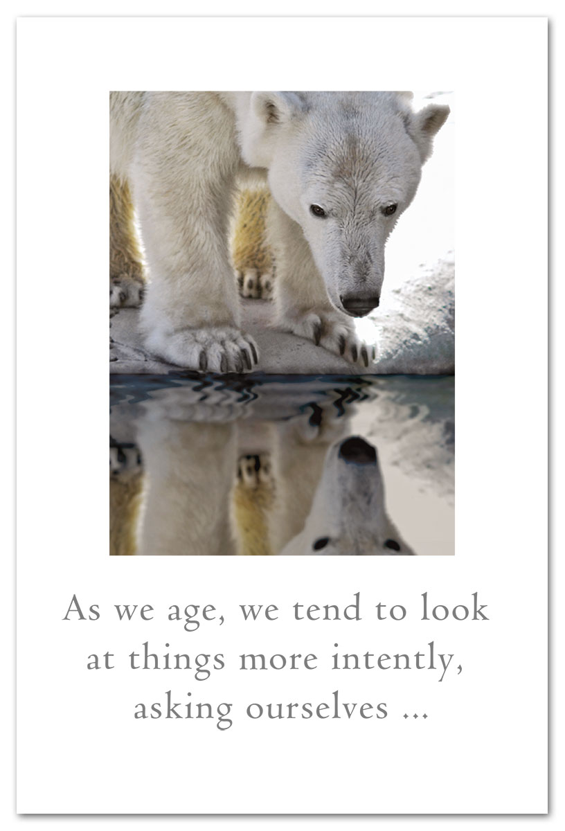 Polar bear reflection birthday card