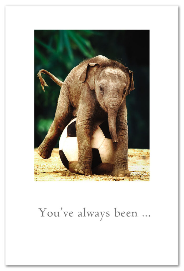 Elephant soccer birthday cards