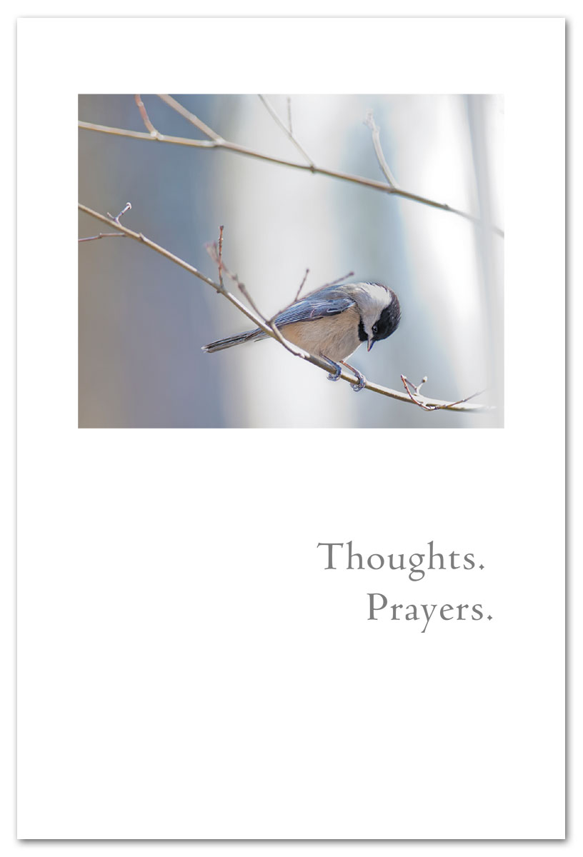 Praying chickadee support and encouragement card.