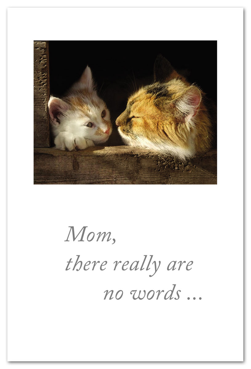 Kitten and mom mothers day card.