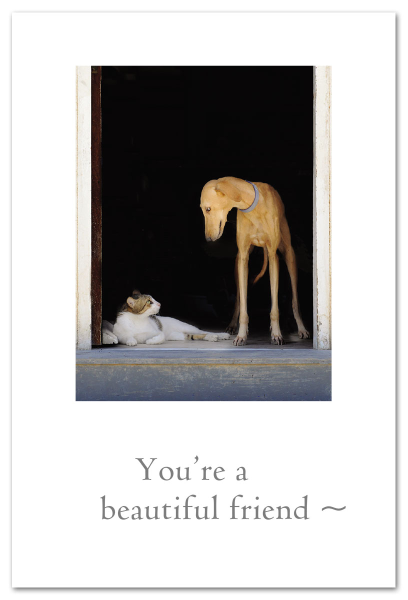 Cat & Dog at the door birthday card.