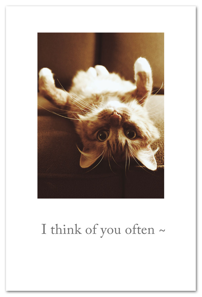 Upside down cat thinking of you card.