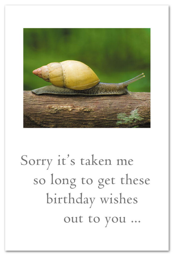 Snail Belated Birthday Card.