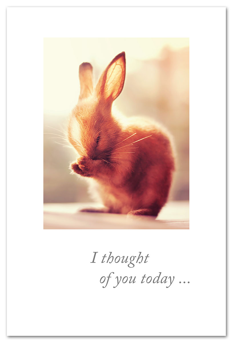 Praying bunny thinking of you card.