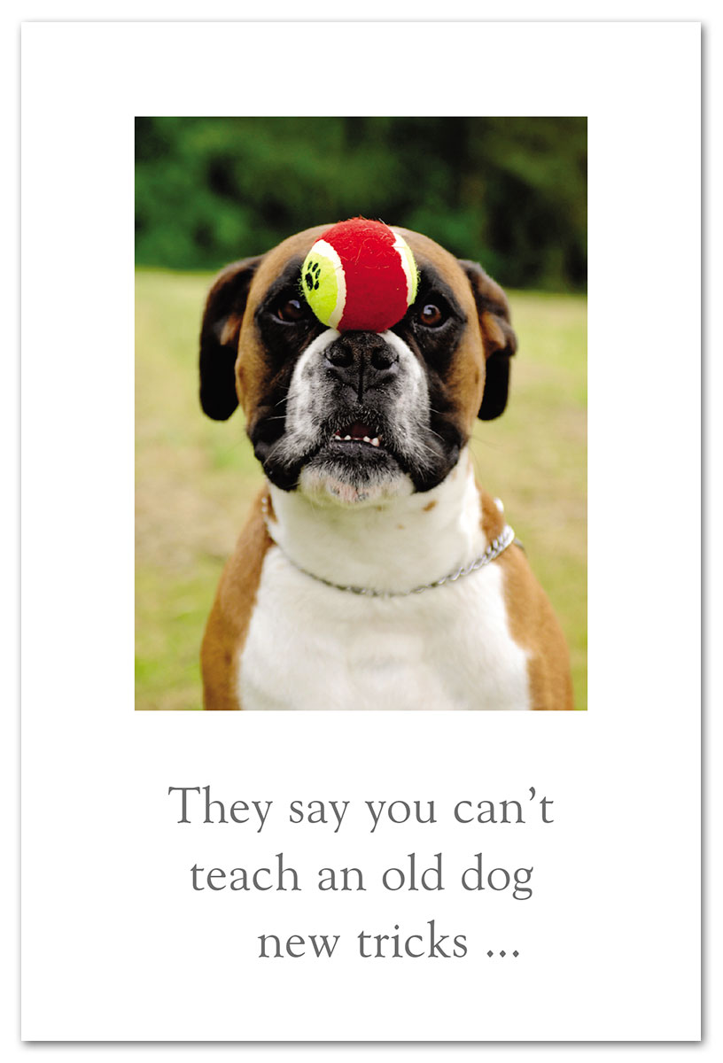 Dog with ball on nose birthday card.