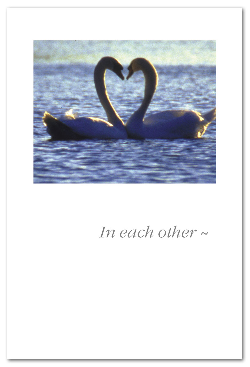 Two swans in lake engagement cards.