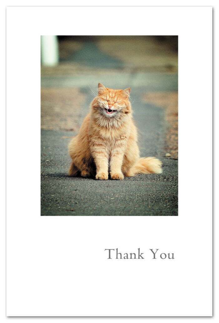 Smiling cat thank you card.