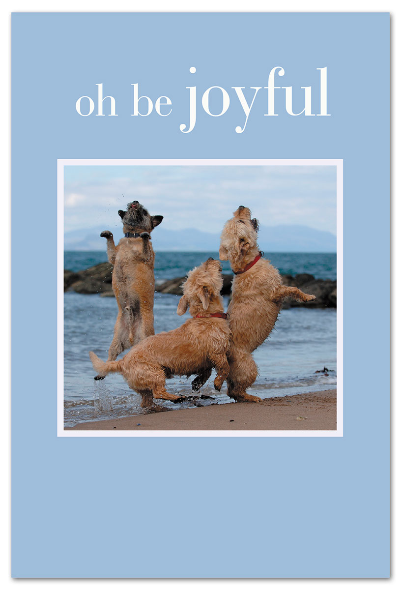 Three dogs playing on beach birthday Card front