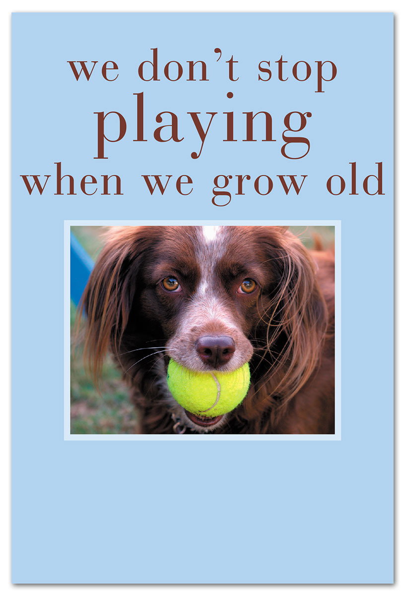 Dog with Tennis Balls Birthday Card Front