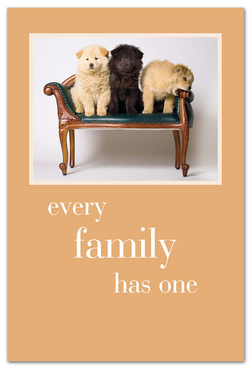 Chow Puppies on Settee Birthday Card front