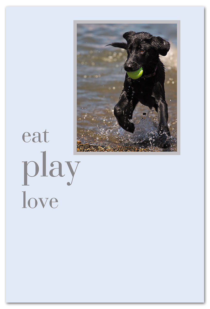Eat play love birthday card front