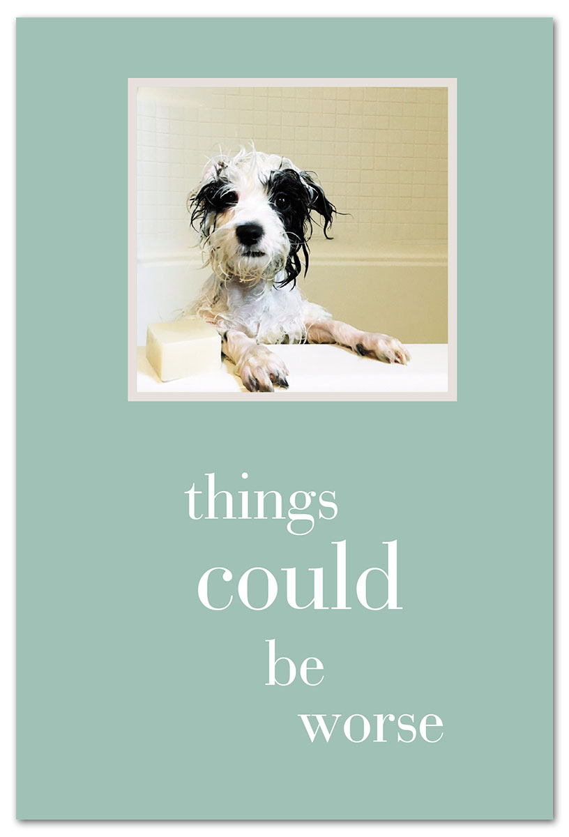 Pup in tub feel better card front