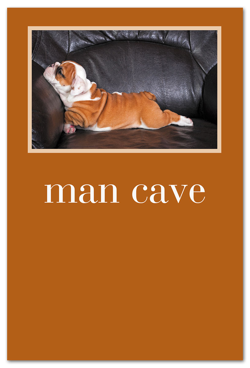 English Bulldog Facedown on Couch