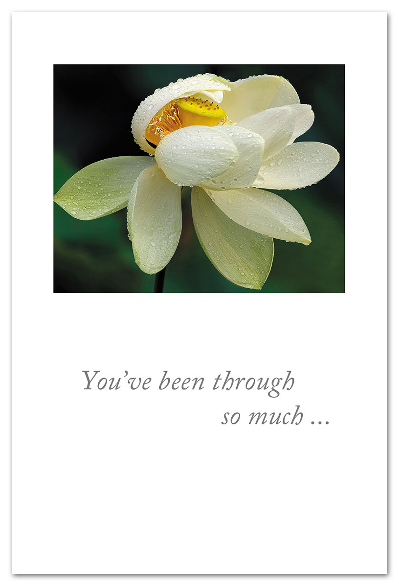 Rainy day lotus support and encouragement card.