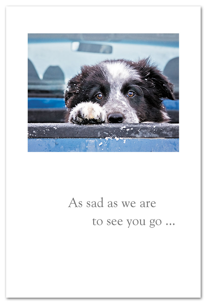Doggie in truck bed going away card.