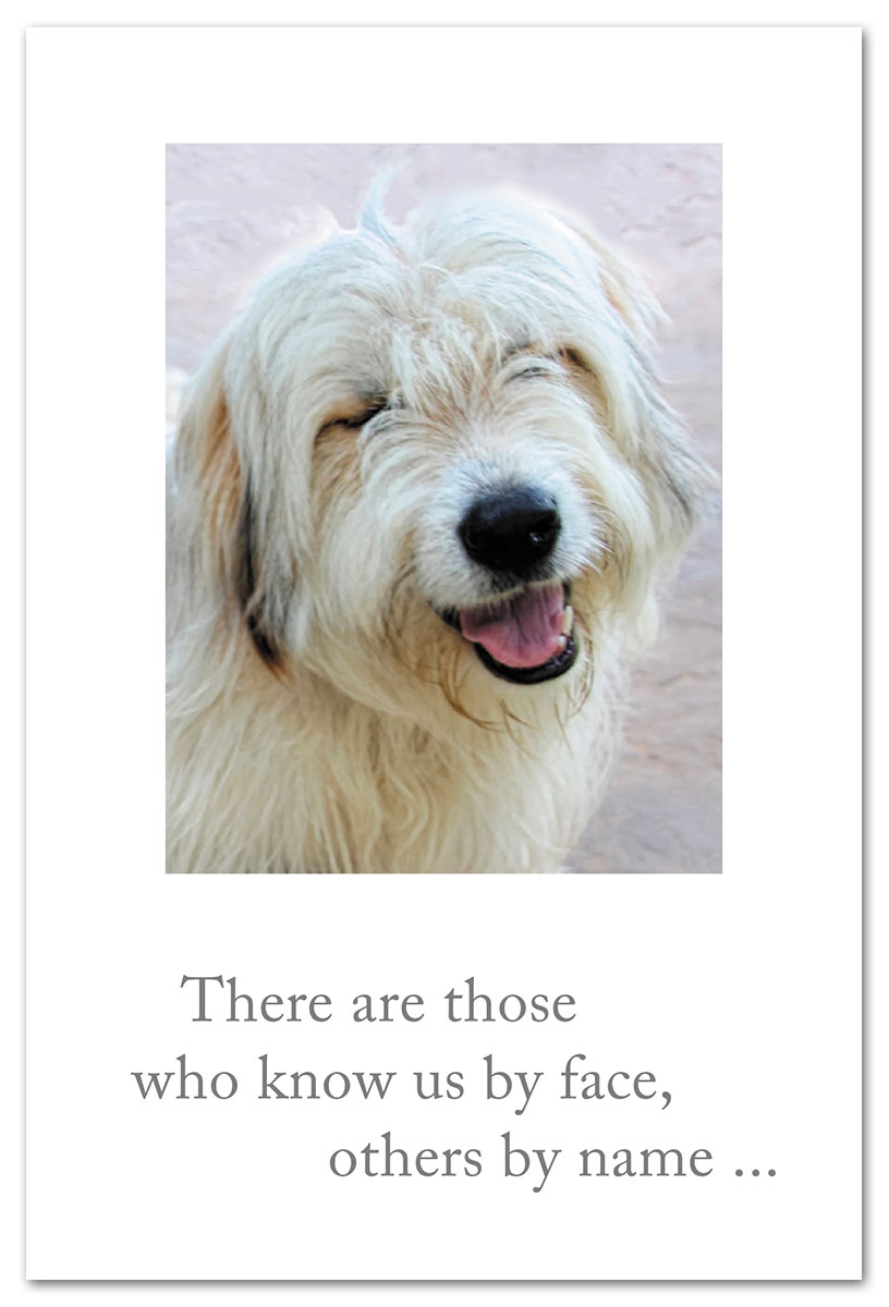 Smiley dog birthday card.