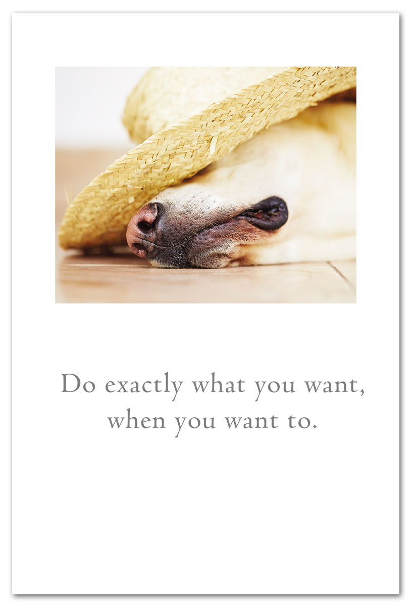 Dog with straw hat retirement card.