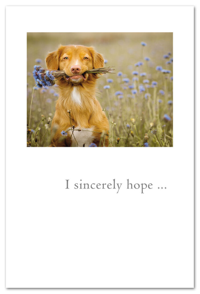 Dog holding flowers thank you card.