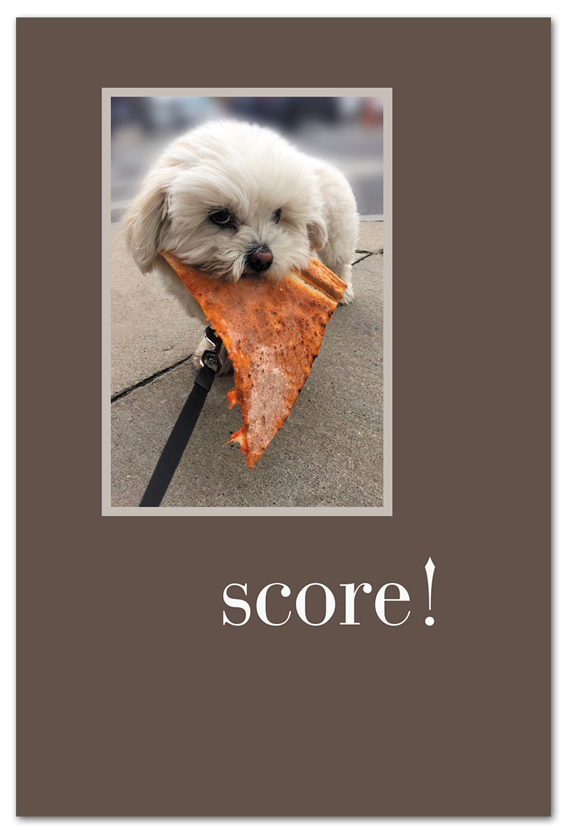 Dog Scoring Pizza