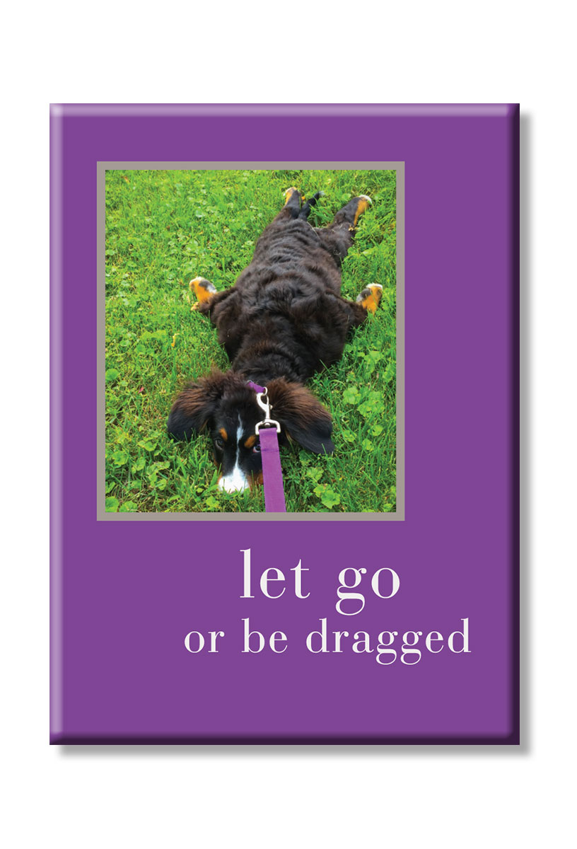 Let go or be dragged magnet.