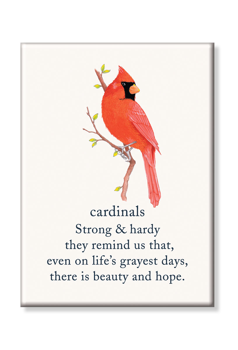 Cardinals strong and hardy they remind us that even life's grayer days, there is beauty and hope magnet.